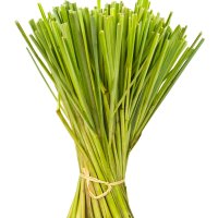 Iarbă de lămâie