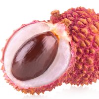 Lici