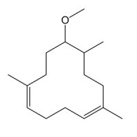 Lorenox