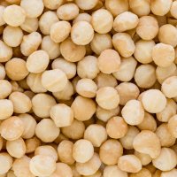Macadamia