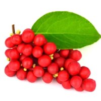 Magnolie chinezească