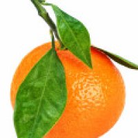 Mandarină roșie