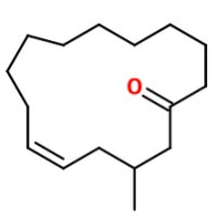 Muscenon