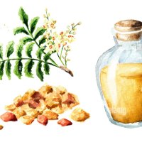 Note balsamice