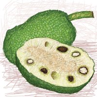 Nucă de pâine