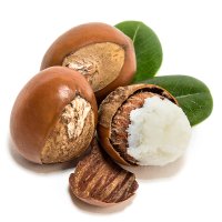 Nuci de shea