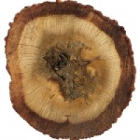 Oud cambodgian