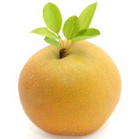 Pară Nashi