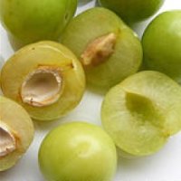 Prună verde