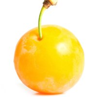 Prune Mirabelle