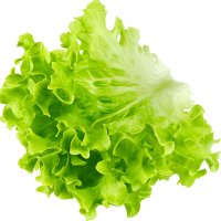 Salată verde