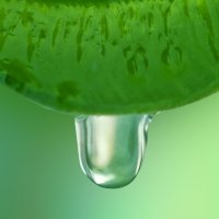 Sevă verde