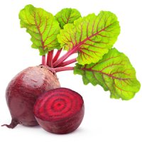 Sfeclă roșie