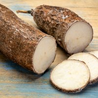 Yuca (Manioc)
